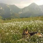Astra V Zdiari * Ždiar