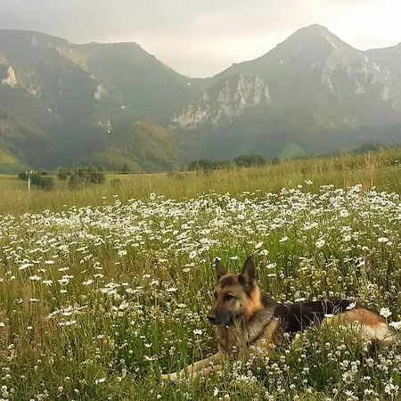 Astra V ždiari * Ždiar